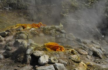pozzuoli-calosirte-viaggi-2022