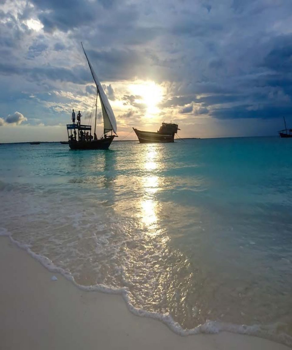 zanzibar2026_calosirte