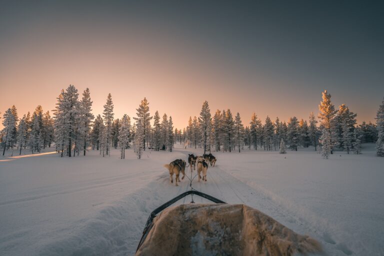 husky-safari-activity-at-lapland-finland-at-sunset